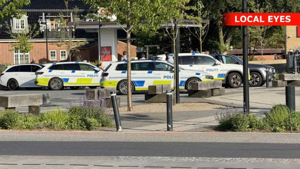 Butikstyve blev grebet i Tinglev, men stjal i en anden by: Adskillige politibiler rykkede ud